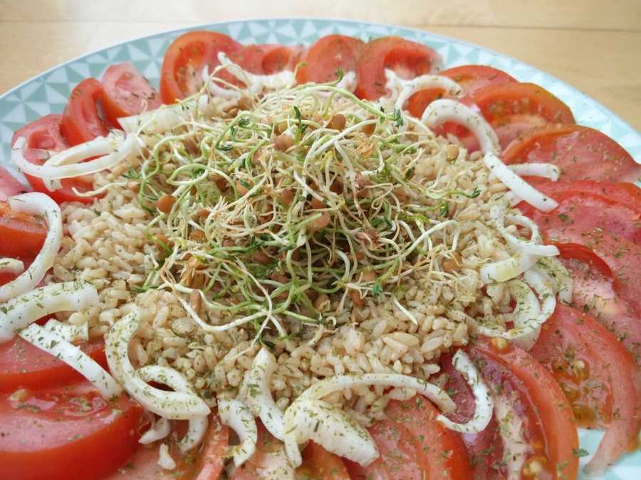 Ensalada de arroz integral y lentejas germinadas